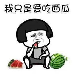 娱乐吃瓜的头像,吃瓜群众眼中的明星幕后故事