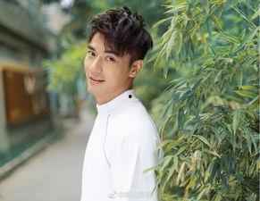 娱乐圈吃瓜基本是真的,真相与谣言的交织